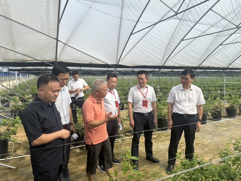 县政协组织住怀市政协委员视察重点